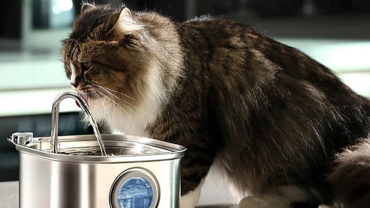 UltiCat™ - Healthy Water Fountain