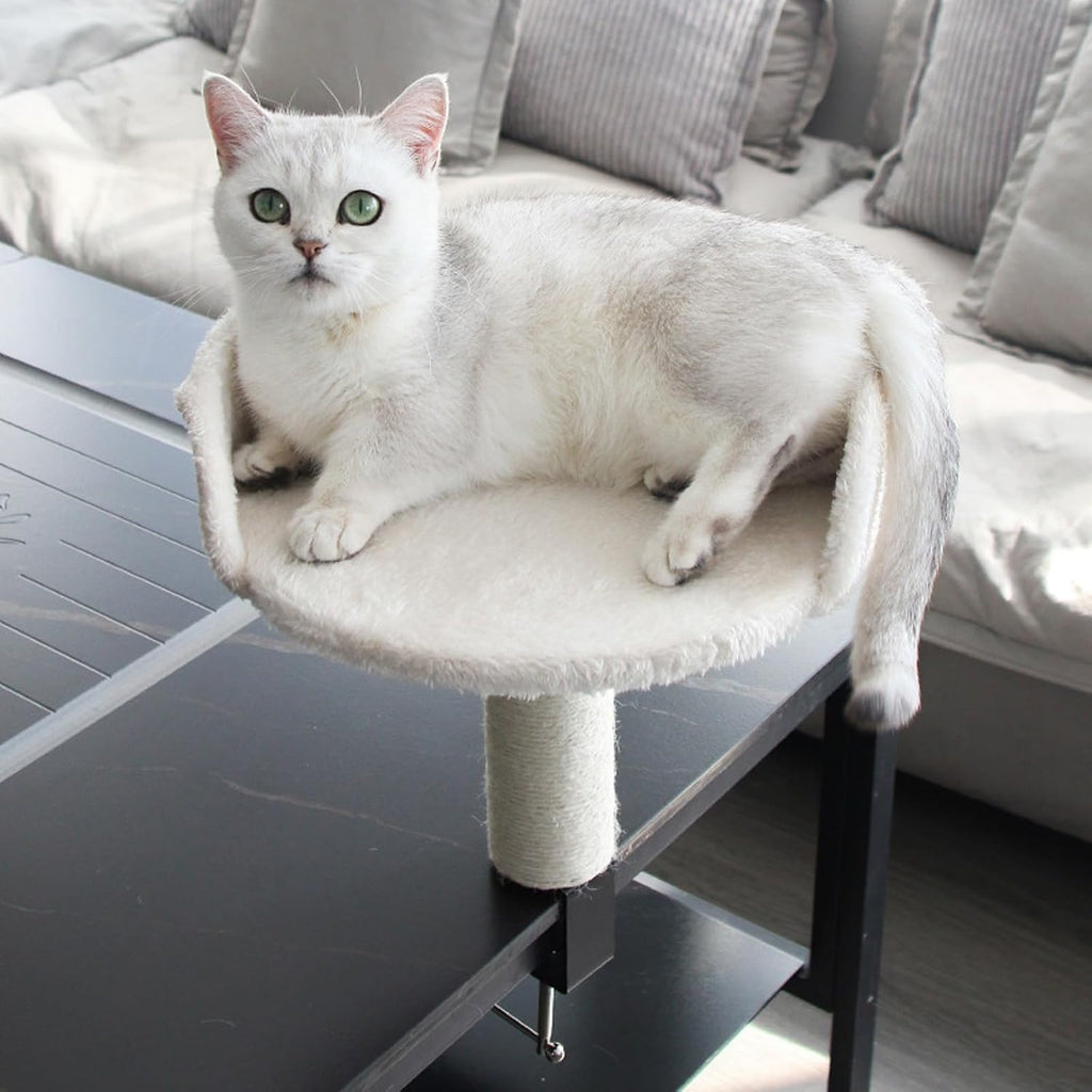 Petopia: CEO Desk Cat Bed