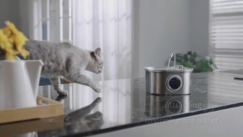 UltiCat™ - Healthy Water Fountain