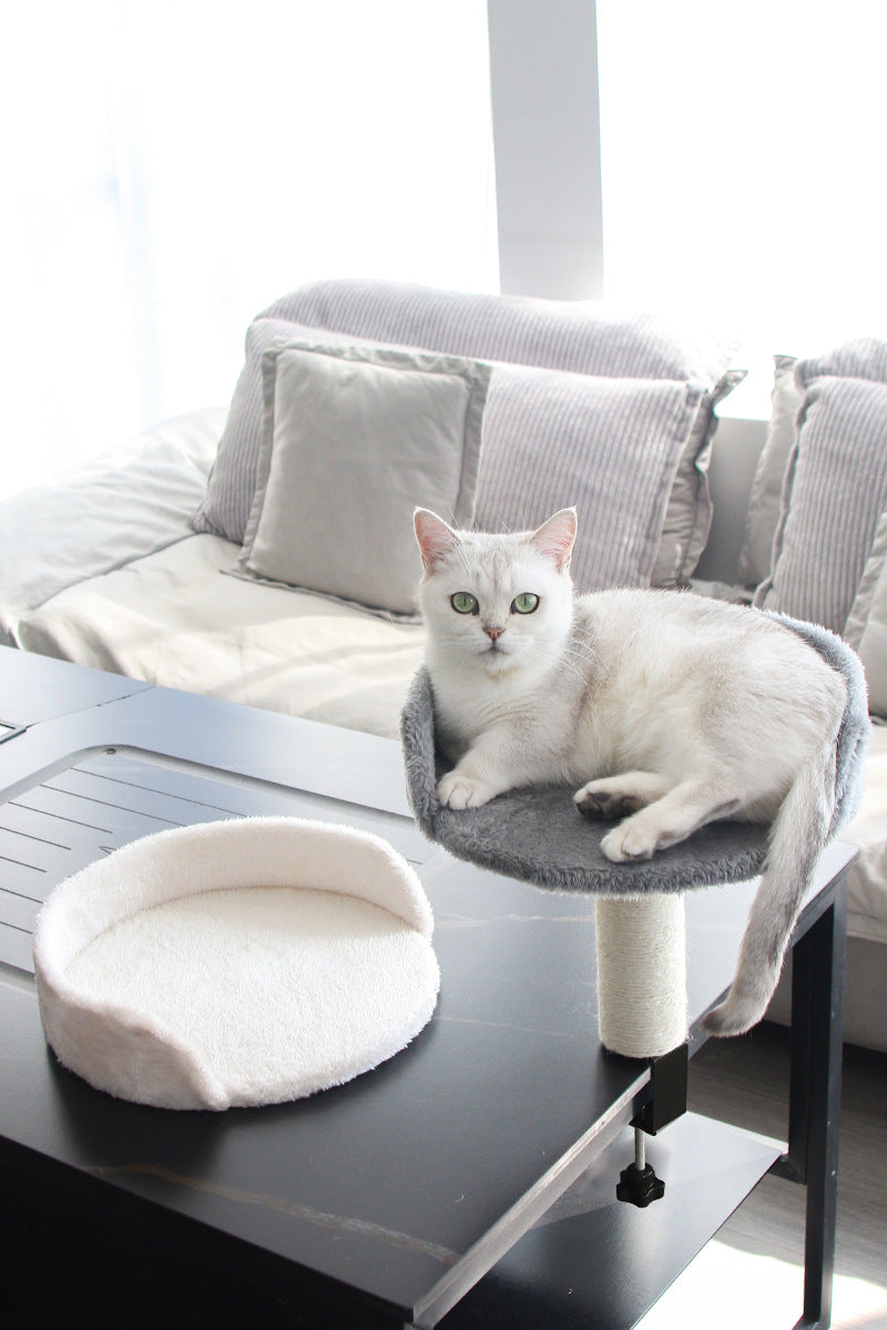 Petopia: CEO Desk Cat Bed