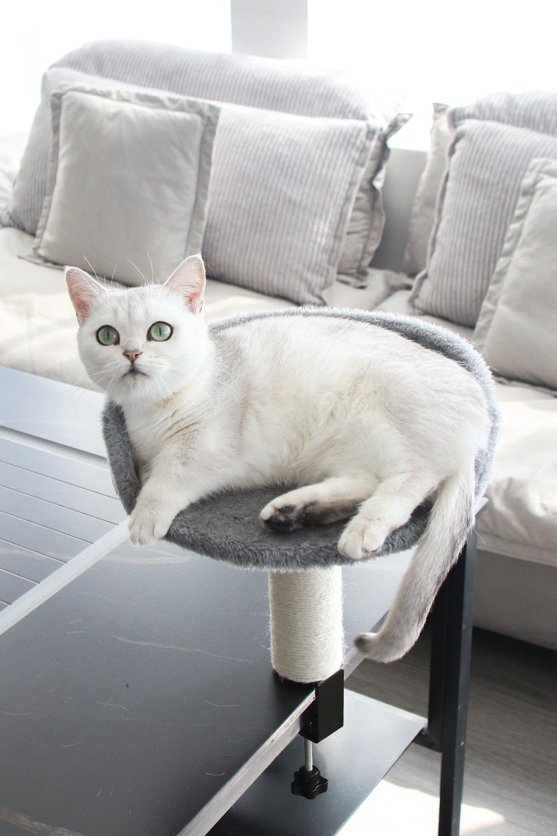 Petopia: CEO Desk Cat Bed